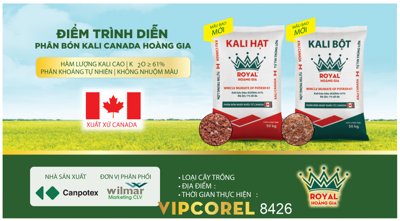 Tải file Điểm trình diễn phân bón Kali Canada Hoàng Gia (gốc) làm file quảng cáo