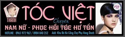 File in trần Biển Tóc Việt - Chuyên phục hồi tóc file PDF & CDR (bản gốc) phong cảnh