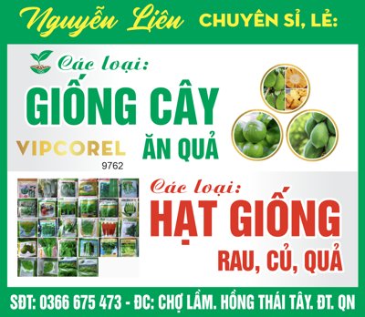 Tải file gốc Biển vẫy - bán giống cây - hạt giống ăn quả (in tráng gương) siêu đẹpFile tranh gốc Biển vẫy - bán giống cây - hạt giống ăn quả chất lượng cao