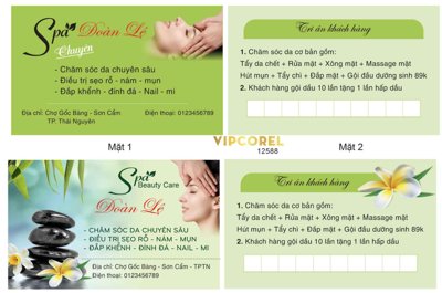 Download file Danh thiếp Spa Đoàn Lệ - chăm sóc da vector #2 (gốc) in mica bàn thờ