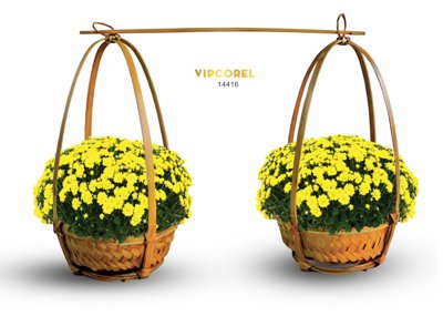 Tải file Gánh hoa Cúc mâm sôi trang trí tiểu cảnh tết (gốc) in ấn chất lượng