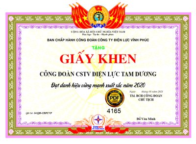 Tải file gốc Giấy khen BCH công đoàn công ty điện lực file corel (bản PSD) gốc