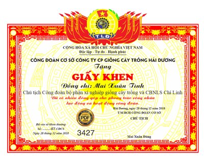 File tranh in tráng gương Giấy khen công đoàn công sở công ty file Corel (siêu nét)