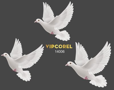 Download file gốc Hình chim bồ câu trắng đẹp file PNG (in lụa) hoa lá