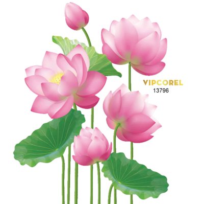 Download file gốc Họa tiết hoa sen trang trí pano #6 file PNG (in lụa) nghệ thuật