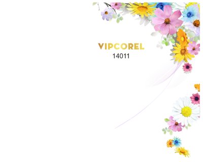 File in mica Mẫu viền hoa trang trí nhiều màu sắc file PNG (ảnh gốc) đẹp