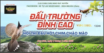 Download file gốc Market Hội thi đấu chim hót chào mào vector (in mica) 3D