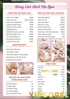 File tranh quảng cáo Menu Bảng giá dịch vụ Spa vector (download file gốc)