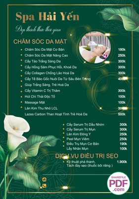 Hình ảnh file gốc in lụa Menu Spa chăm sóc da mặt file PDF và file CDR
