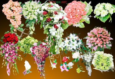 File tranh [PSD] Mẫu kiểu hoa cưới cầm tay cô dâu đẹp (gốc) chủ đề động vật