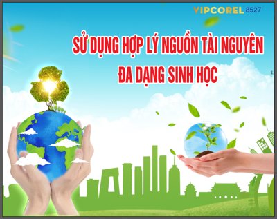 Download file gốc Pano sử dụng hợp lý nguồn tài nguyên đa dạng sinh học (in lụa) cao cấp