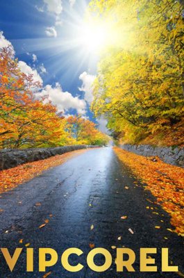 File tranh PSD Tranh 3D Trần Xuyên Sáng chất lượng cao #75 chất lượng cao