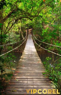 Download file gốc Tranh 3D Trần Xuyên Sáng chất lượng cao #79 (in mica) logo