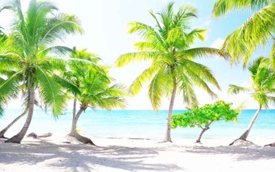 File gốc Tranh 3D biển xanh - đại dương xanh #27 (trang trí) phòng làm việc