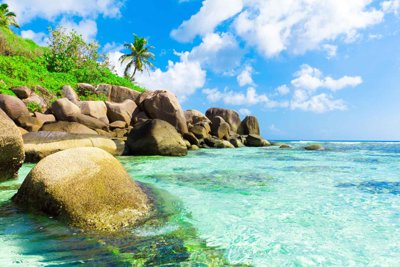 File gốc Tranh 3D biển xanh - đại dương xanh #5 (in lụa) hoa văn cổ điển