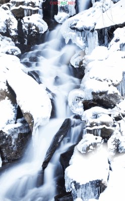 File gốc Tranh 3D mã "DH-0011" đến "DH-0020" - Tranh trang trí (bản quyền) cho in ấn