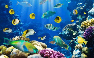 File gốc Tranh 3D mã "DH-0061" đến "DH-0070" - Tranh trang trí (in lụa) cao cấp