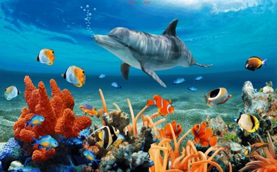 File tranh Tranh 3D mã "DH-0071" đến "DH-0080" - Tranh trang trí (ảnh gốc) in trần xuyên sáng