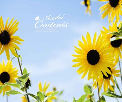 Hình ảnh gốc Tranh 3D phong cảnh hữu tình - hoa hướng dương (để in khổ lớn)