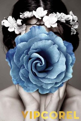 Ảnh gốc Tranh bình hoa treo tường 3D đẹp #55 (độ nét cao) in tráng gương