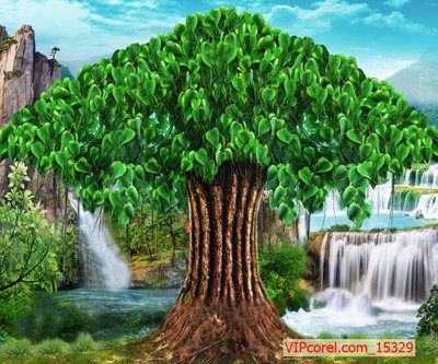 Tệp tin gốc Tranh cây bồ đề đẹp file PSD 15329 (chất lượng) Tranh cây bồ đề đẹp file PSD 15329