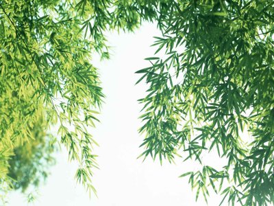 File gốc Tranh dán tường 3D phong cảnh hữu tình #114 (cho in ấn) từ Filetranh.com