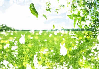 File gốc Tranh dán tường 3D phong cảnh hữu tình #123 (ảnh rõ nét) để in