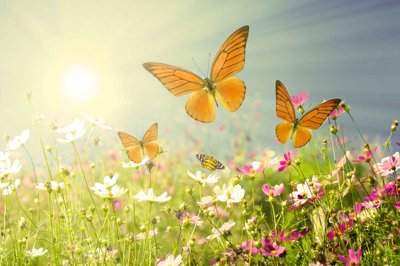 File ảnh Tranh dán tường 3D phong cảnh hữu tình #144 (gốc) in Hiflex