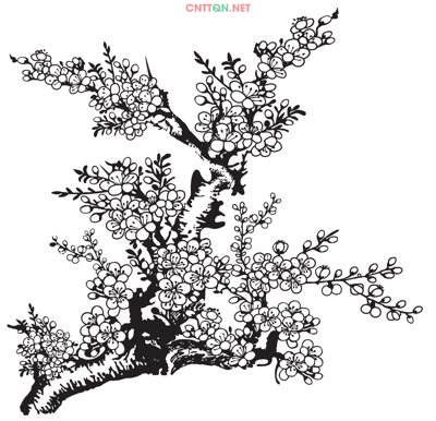 File in trần Vector cành đào file CorelDRAW (file gốc) xuyên sáng