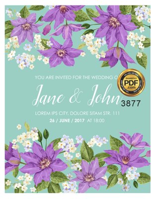 File ảnh gốc Vector wedding Invitation #112 file PDF (chuyên in mica)