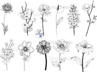 File gốc Vetores (1112)_1 (PNG) không nền chất lượng