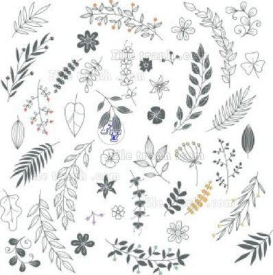 File in lụa Vetores (1113)_1 (chất lượng cao) Vetores (1113)_1