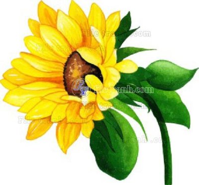 File tranh quảng cáo Vetores (505)_1 (download file gốc)