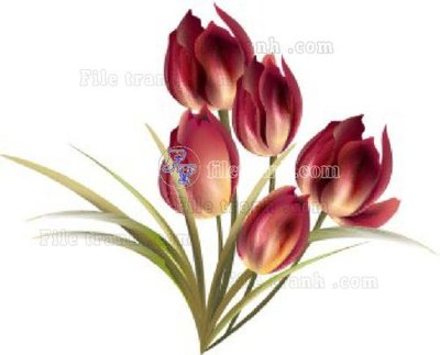 File PSD Vetores (552)_1 (nguyên gốc) chất lượng cao