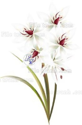 File in trần Vetores (553)_1 (bản gốc) trời sao