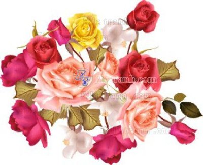 Tải file gốc Vetores (554)_1 (in tráng gương) cao cấpFile gốc Vetores (554)_1 (in ấn) phiên bản độc quyền