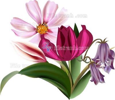 Download file gốc Vetores (562) (in lụa) hoa lá