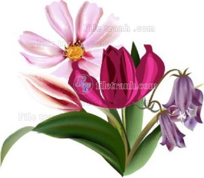 Tải file gốc Vetores (562)_1 (in khổ lớn) không vỡ