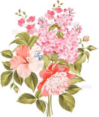 File in trần Vetores (564)_1 (bản gốc) phong cảnh