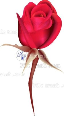 File in lụa Vetores (570) (tân cổ điển) Vetores (570)