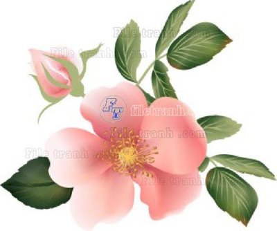 Ảnh gốc Vetores (571)_1 (độ nét cao) in tráng gương