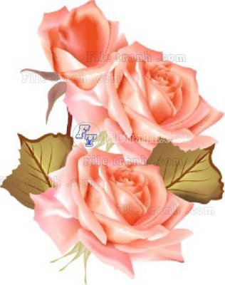 File PSD Vetores (576)_1 (nguyên gốc) chất lượng cao