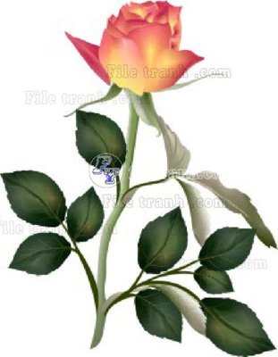 Tệp tin gốc Vetores (578)_1 (chất lượng) Vetores (578)_1