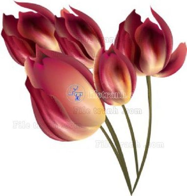 File tranh Vetores (584)_1 (ảnh gốc) không bị mờ