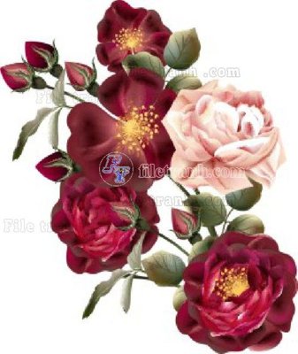 Mua file gốc Vetores (585)_1 (in ấn) tại Filetranh.com