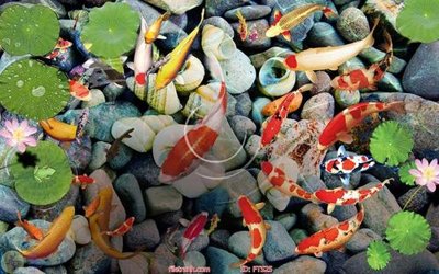 Download file gốc File in sàn nhà thảm gạch FTS25 (độ nét cao)