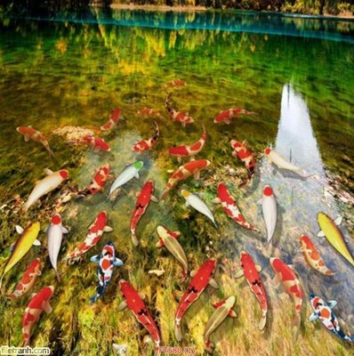 Hình ảnh gốc File in sàn nhà thảm gạch FTS80 (để in khổ lớn)