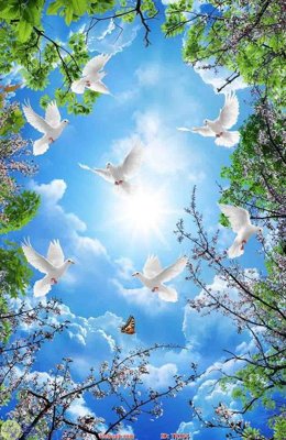 Download file gốc File psd trần 3d TR104 (độ nét cao)