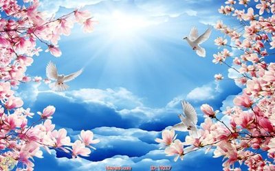 File ảnh gốc File psd trần 3d TR117 không vỡ nét