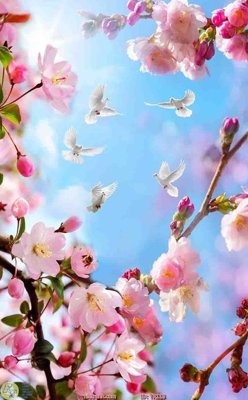 Tải file File psd trần 3d TR118 (ảnh gốc) file TIFF